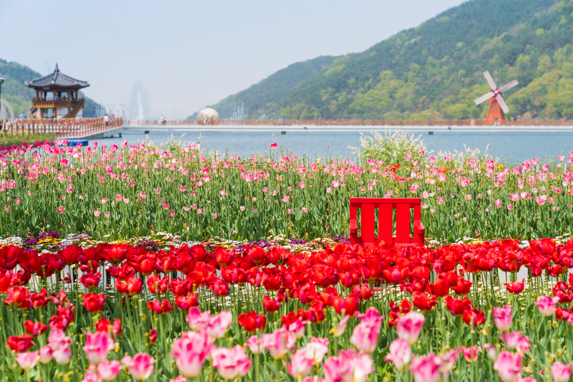 HÀN QUỐC: Busan - Daegu - Seoul 6N5Đ | IDO travel & event