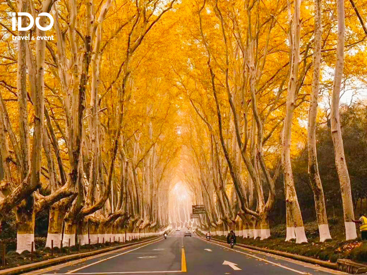 TRUNG QUỐC: Nam Kinh – Ngưu Thủ Sơn – Bộc Viện – Thượng Hải 5N5Đ