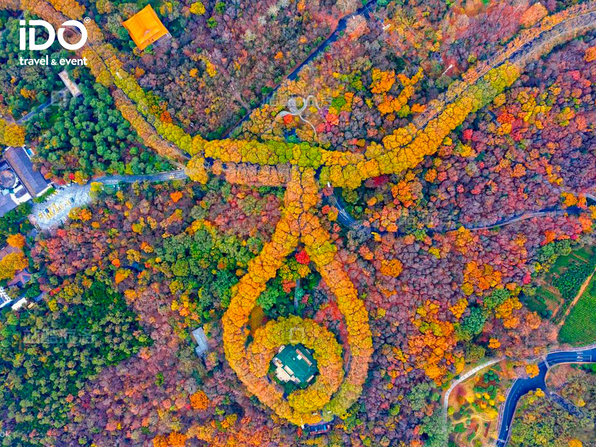 TRUNG QUỐC: Nam Kinh – Ngưu Thủ Sơn – Bộc Viện – Thượng Hải 5N5Đ