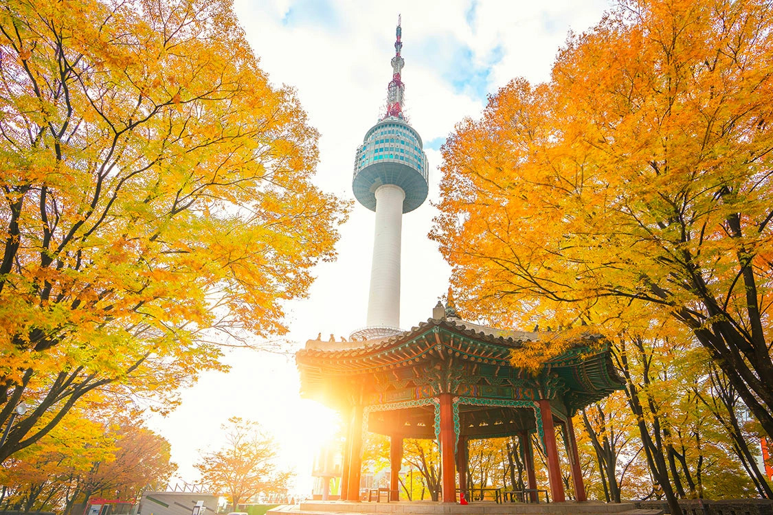 FPTR Hàn Quốc 2024: Busan - Seoul 7N6Đ