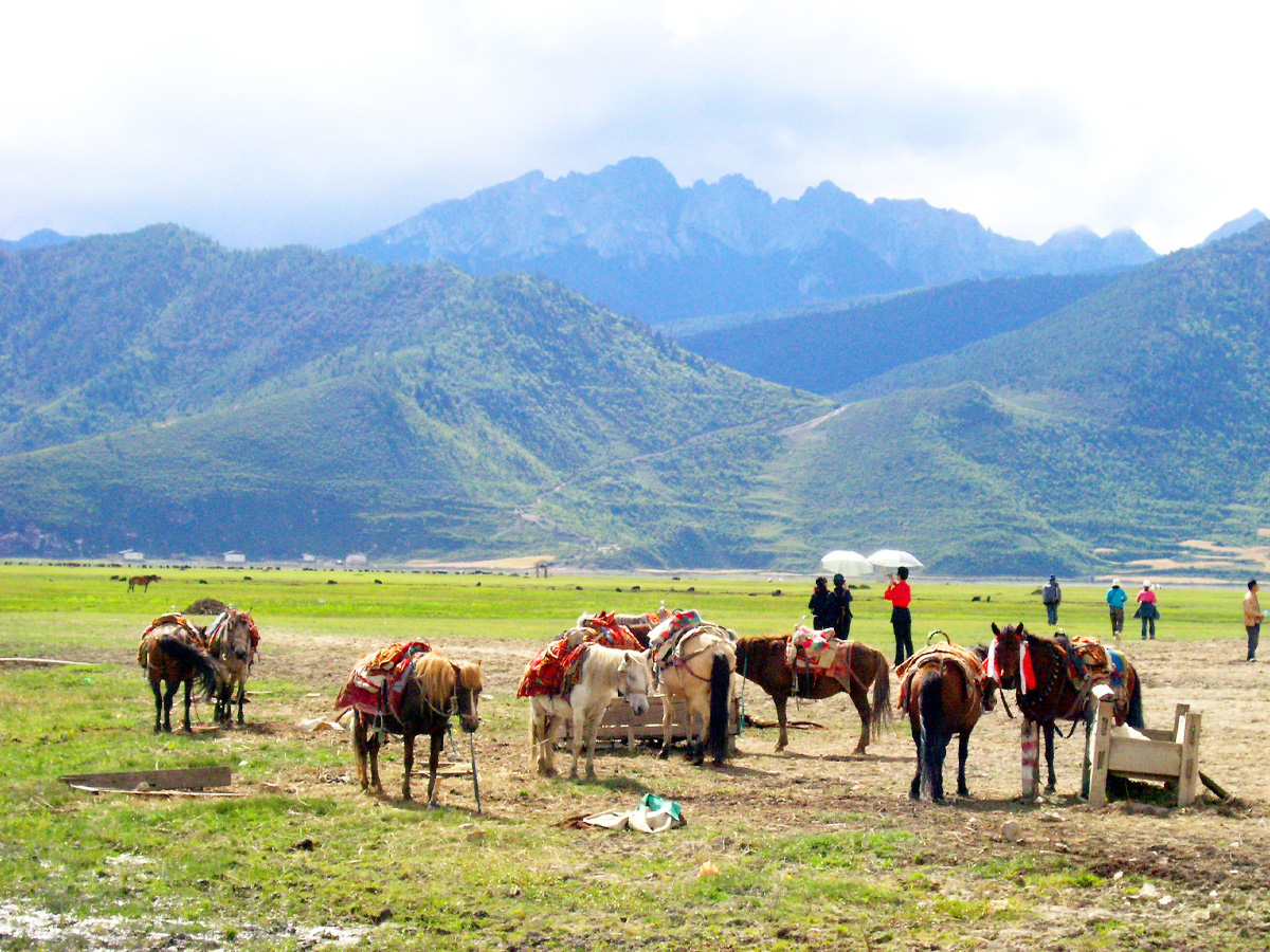 TRUNG QUỐC: Lệ Giang - Shangrila - Núi Tuyết Ngọc Sơn 5N4Đ