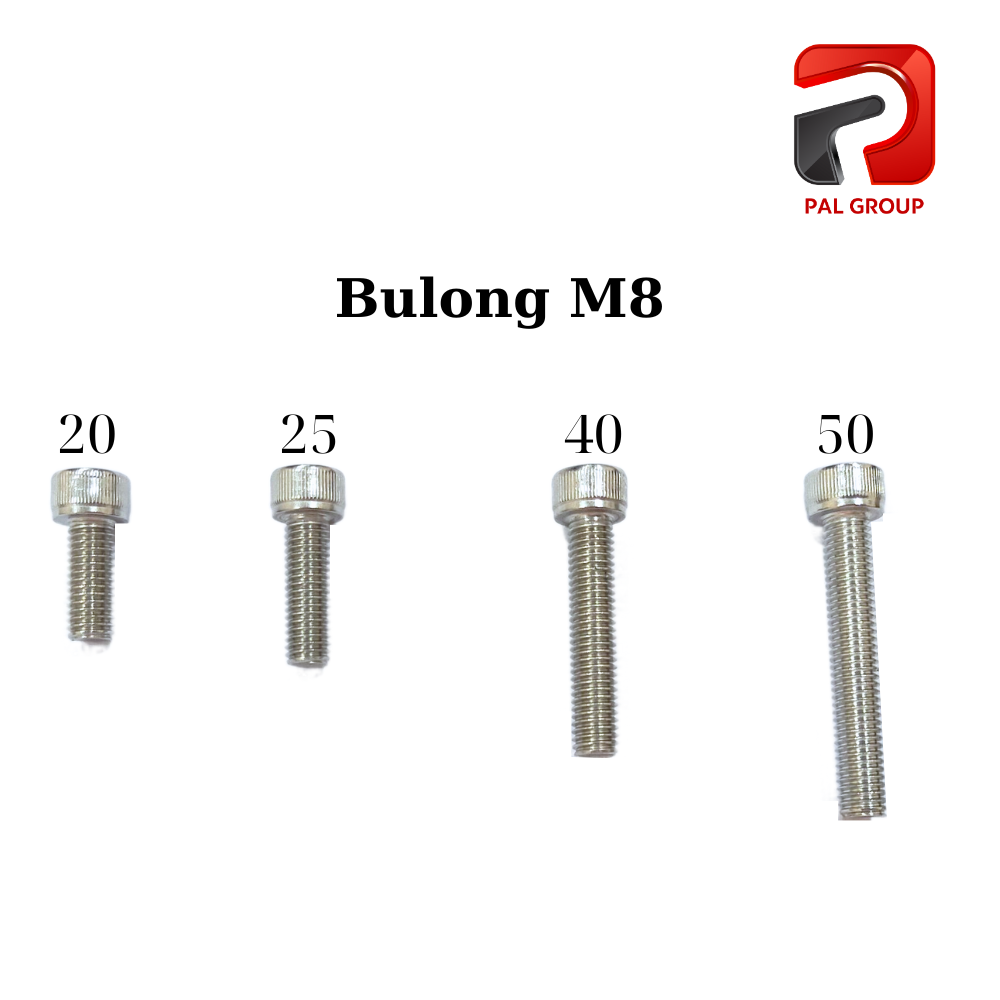 Bulong inox 304 M8*50