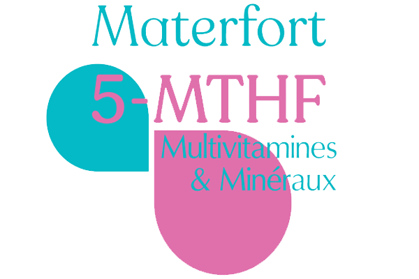 materfort.com