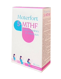 materfort.com