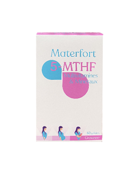 materfort.com