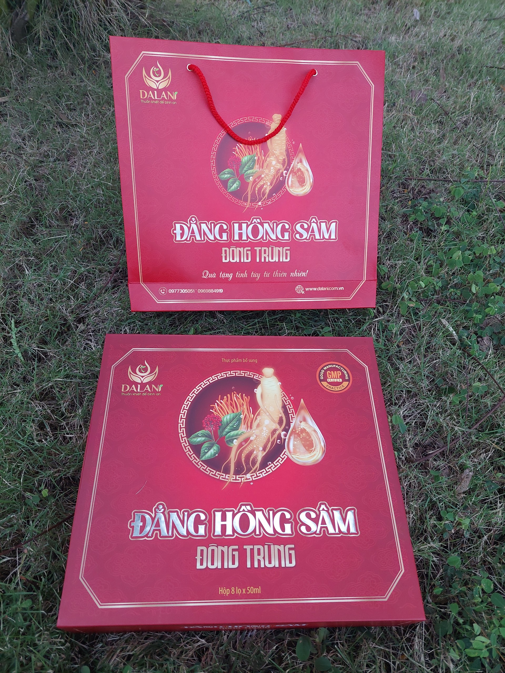 Đẳng hồng sâm Dalani