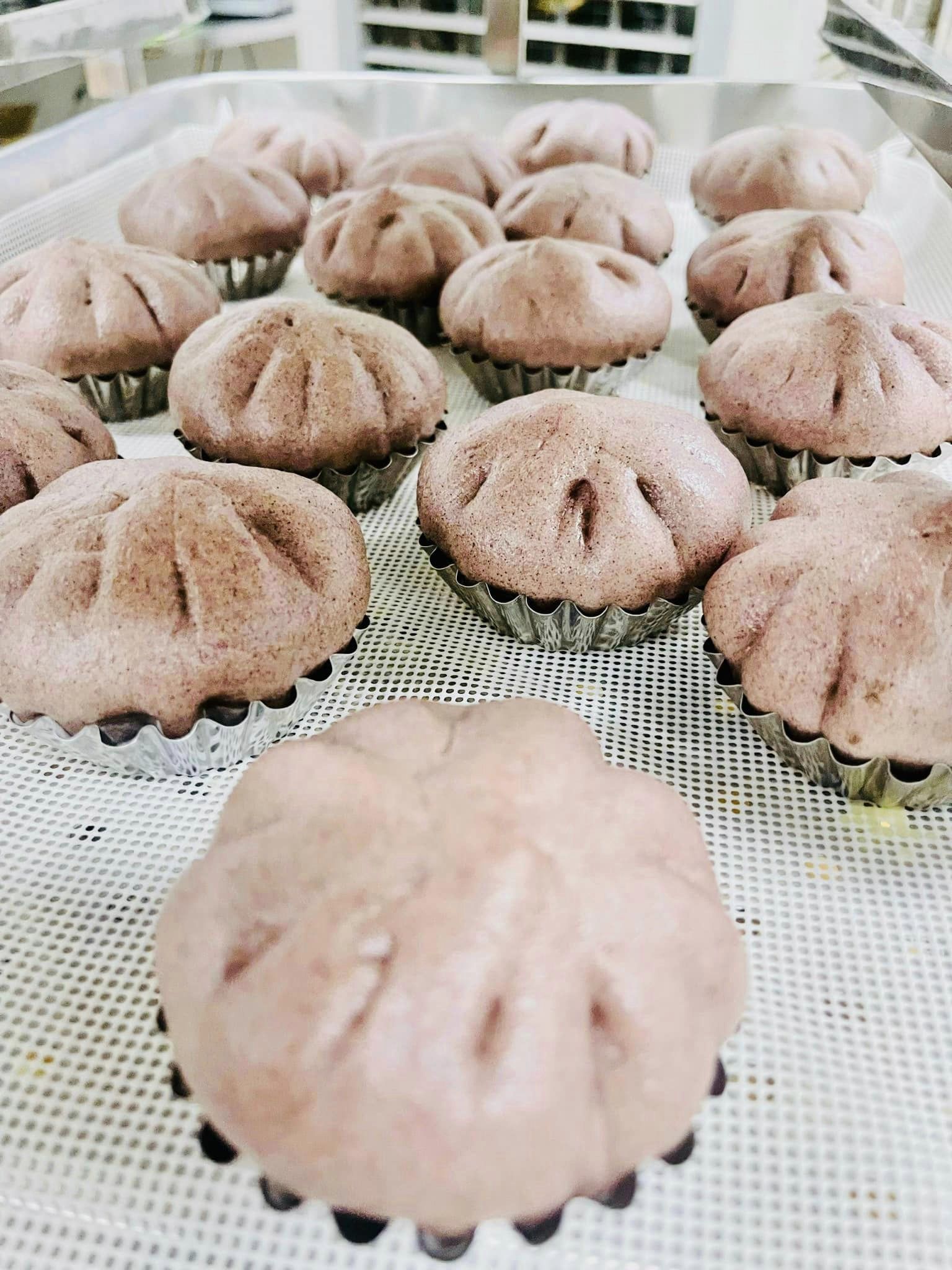 Bánh to Nhân mix hạt - vỏ gạo lứt tím