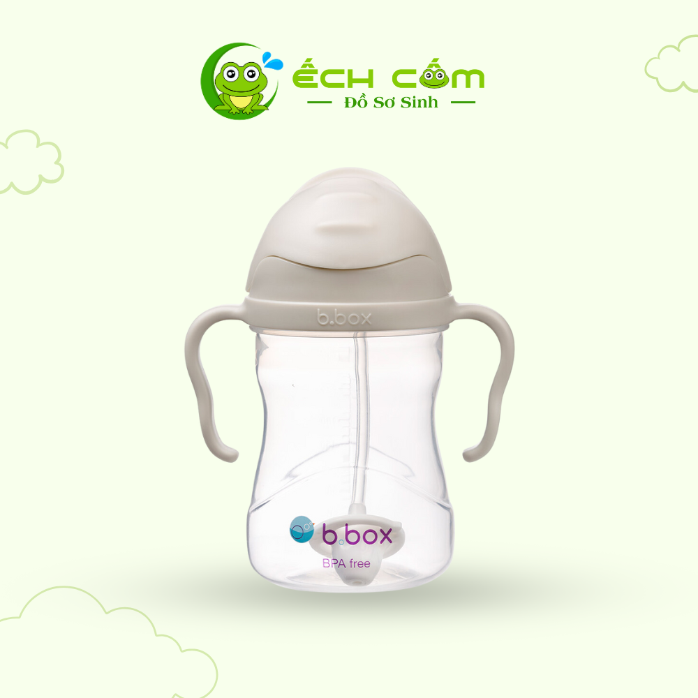 Bình bbox nắp Latte