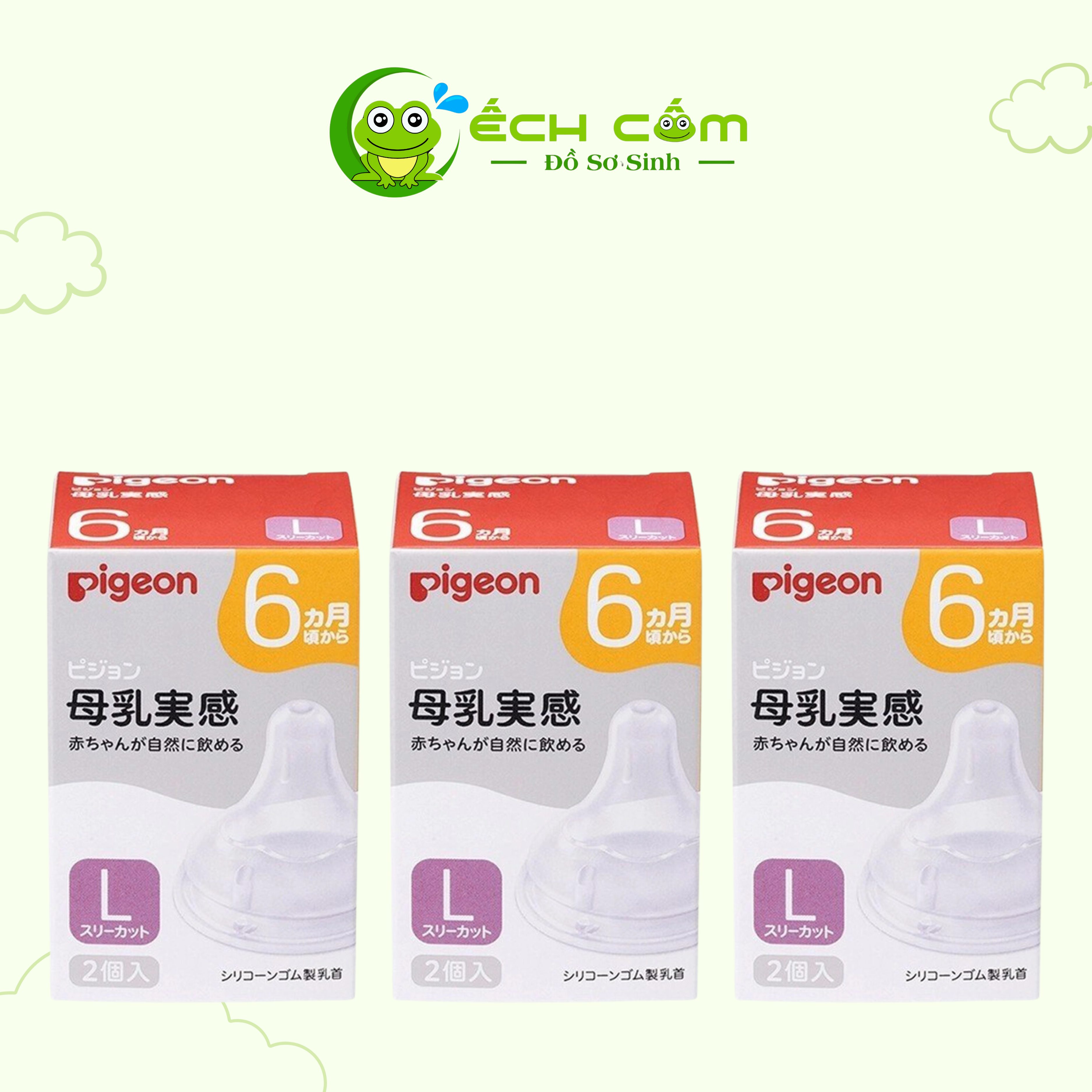 núm pigeon nội địa size  l (1 cái)