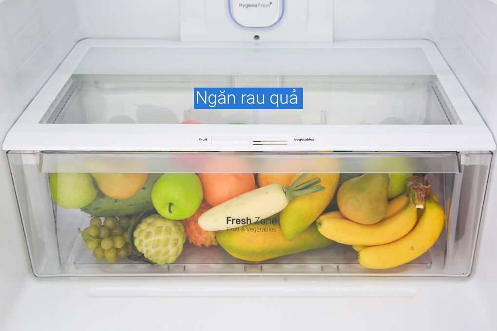 Tủ lạnh LG GN-D602BL Inverter 475 lít - Chính hãng