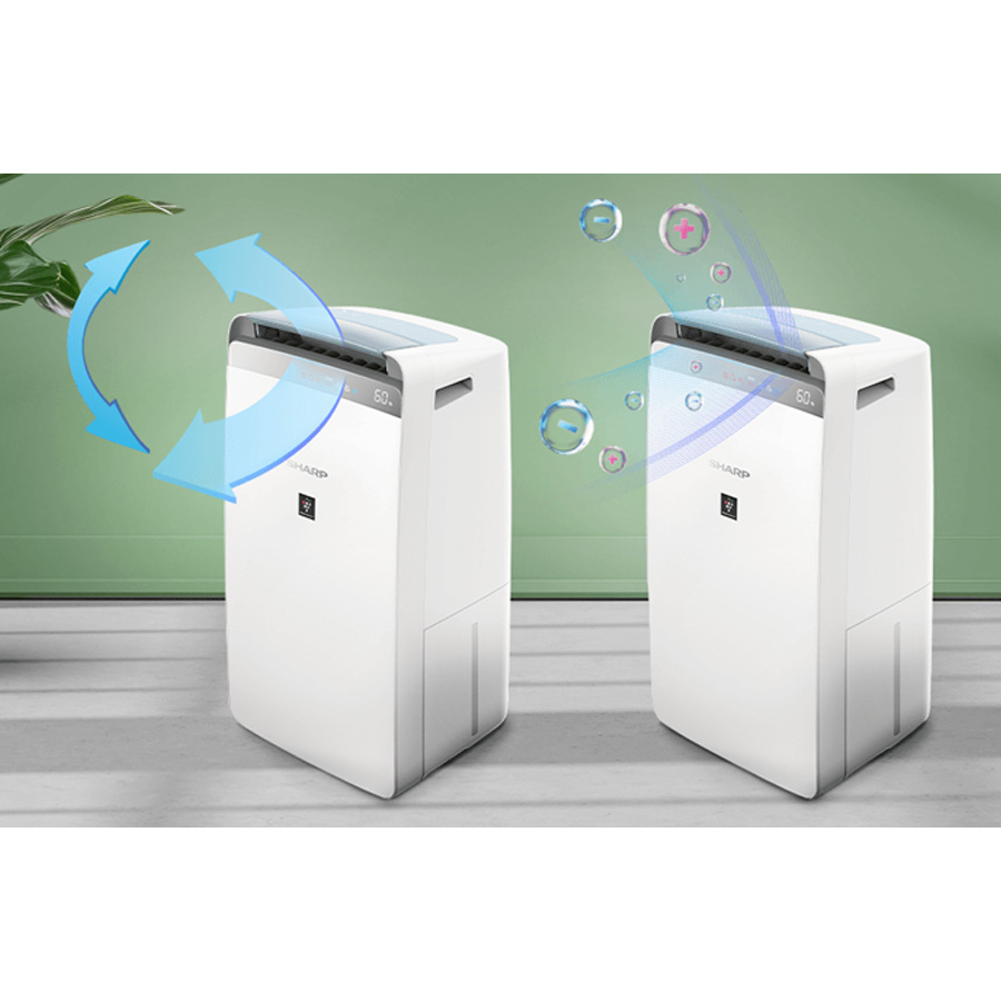 Máy lọc không khí hút ẩm Sharp DW-J20FV-W