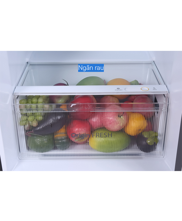 Tủ lạnh Toshiba 337 lít GR-RT435WEA-PMV(06)-MG