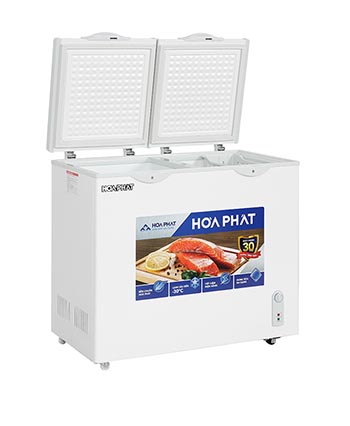 Tủ đông Hòa Phát 205 Lít HPF BD6205