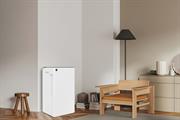 Máy hút ẩm Sharp DW-T30FV-W
