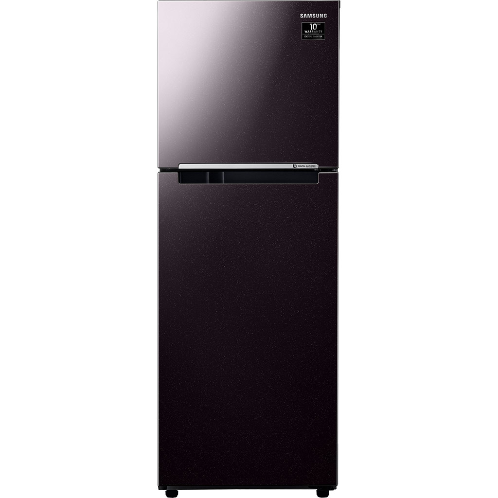 Tủ lạnh Samsung Inverter 236 lít RT22M4032BY/SV