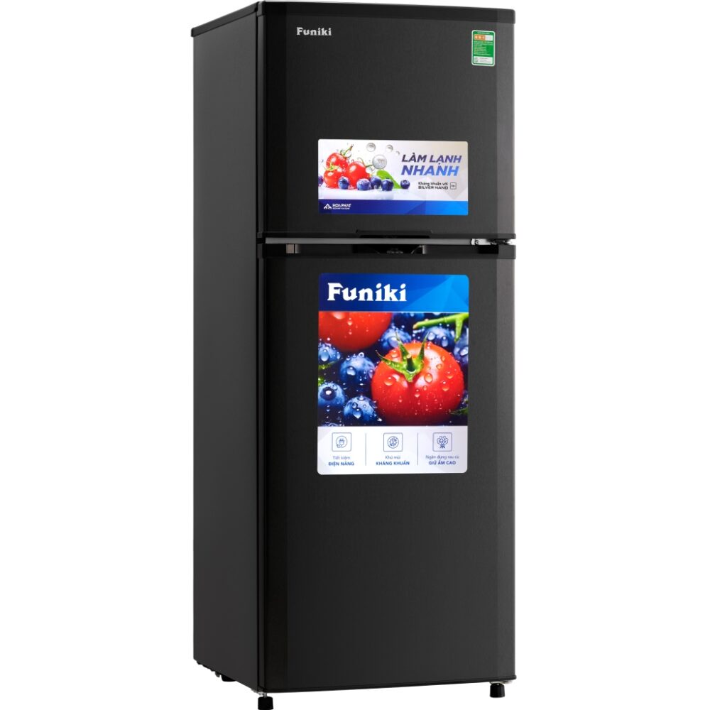Tủ lạnh Funiki 209 lít HR T6209TDG