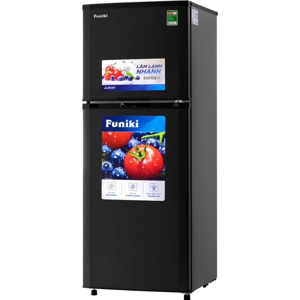 Tủ lạnh Funiki 209 lít HR T6209TDG