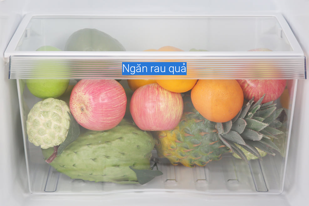 Tủ lạnh Toshiba GR-A28VM (UKG1) 233 lít Inverter