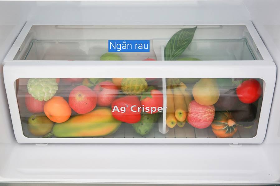 Tủ lạnh Toshiba GR-AG66VA (XK) 608 lít Inverter