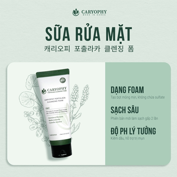 Sữa Rửa Mặt Caryophy Ngăn Ngừa Mụn Giảm Thâm 150ml