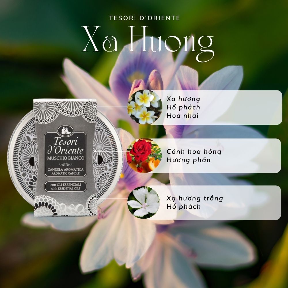 Nến Thơm Hương Nước Hoa Hương Xạ Hương 200gr Tesori d'Oriente