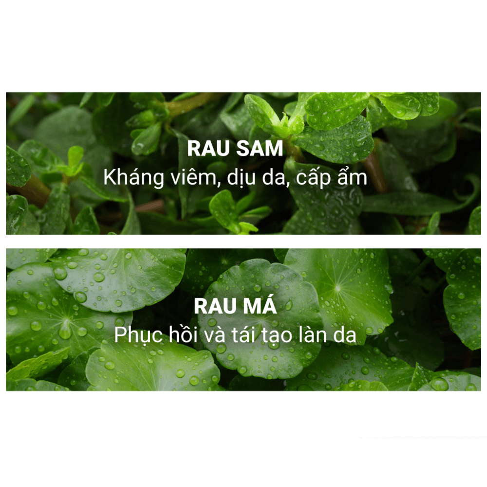 Gel Tẩy Tế Bào Chết Caryophy Ngăn Ngừa Mụn 250ml Smart Peeling Gel