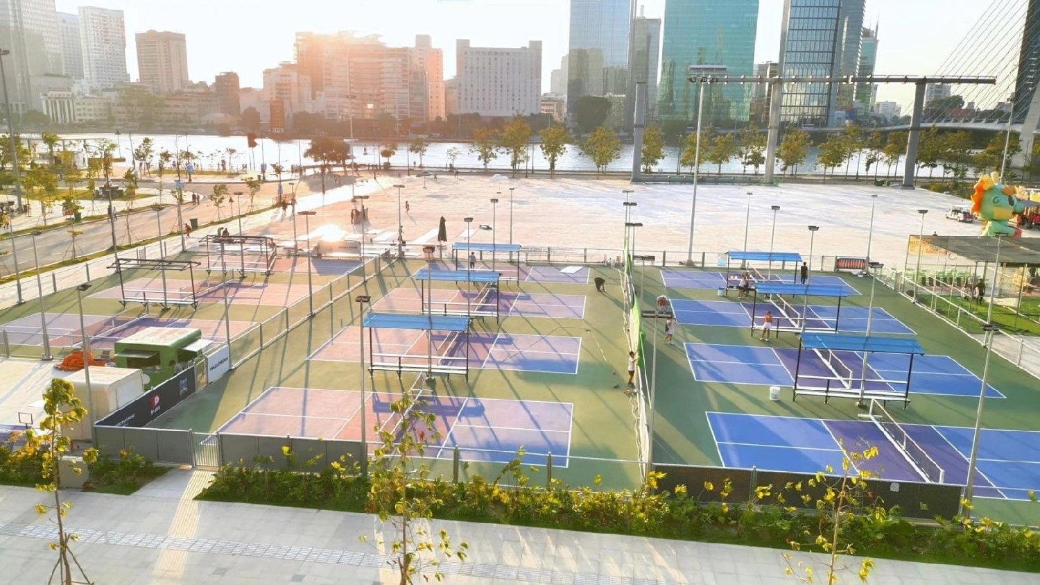 Pickleball D-Joy