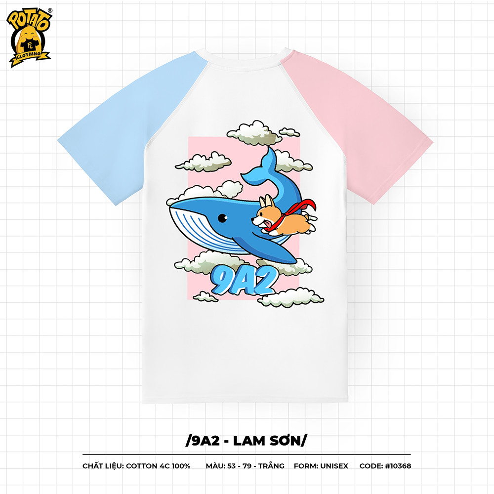 RAGLAN 6
