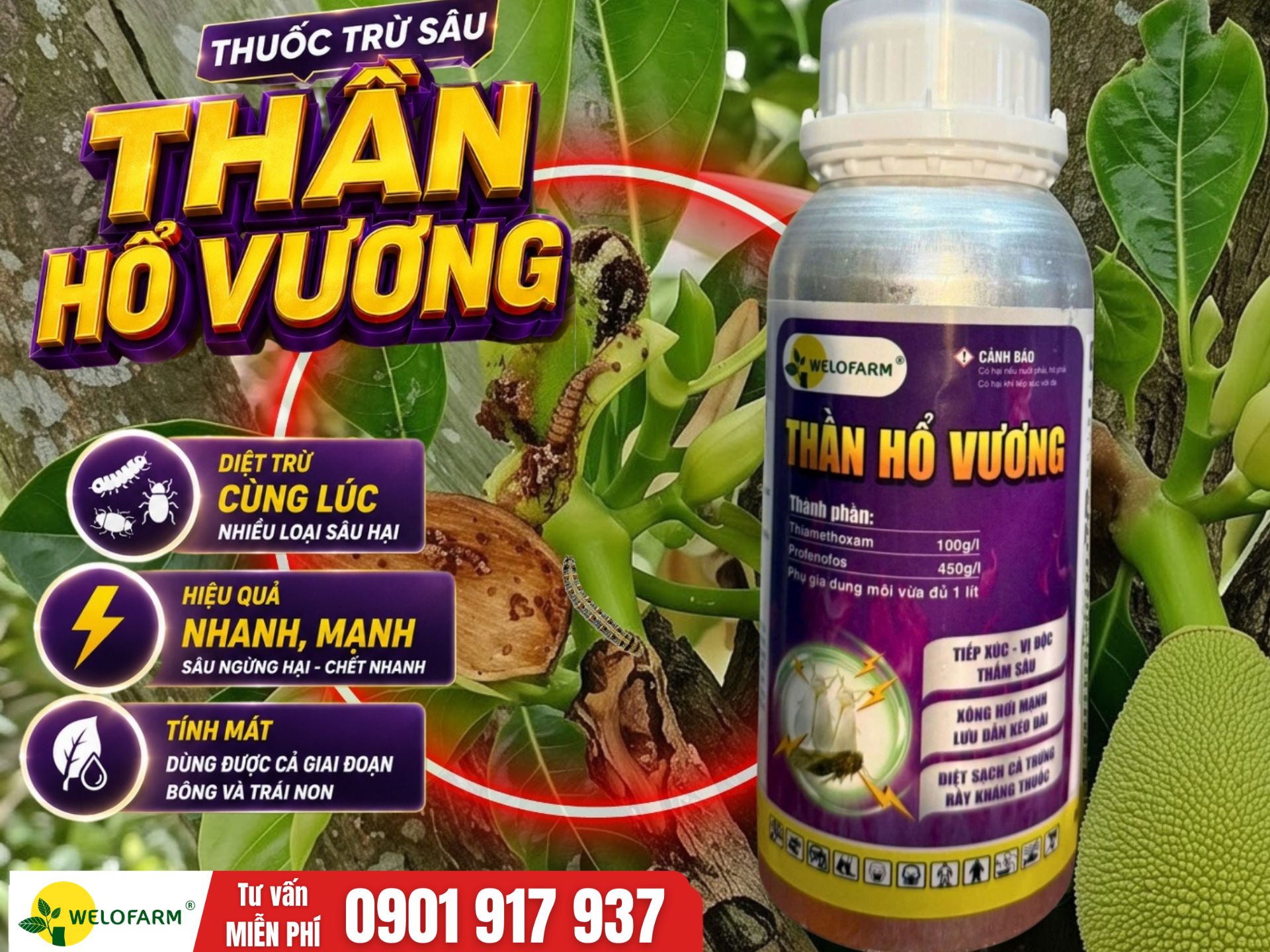💥 Cách Ngừa Sâu Hại Cho Mít Ruột Đỏ Đang Mang Trái