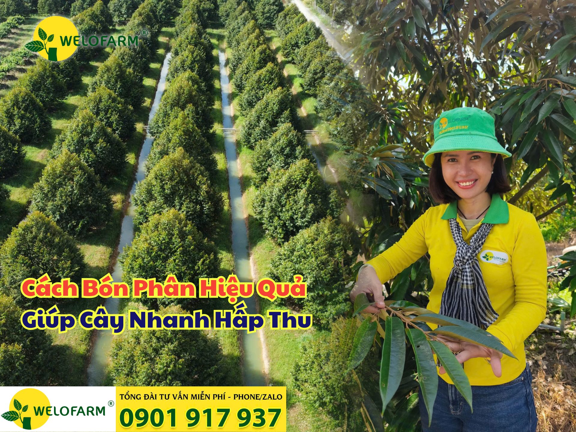 ⚡ Cách Bón Phân Hiệu Quả Giúp Cây Nhanh Hấp Thu