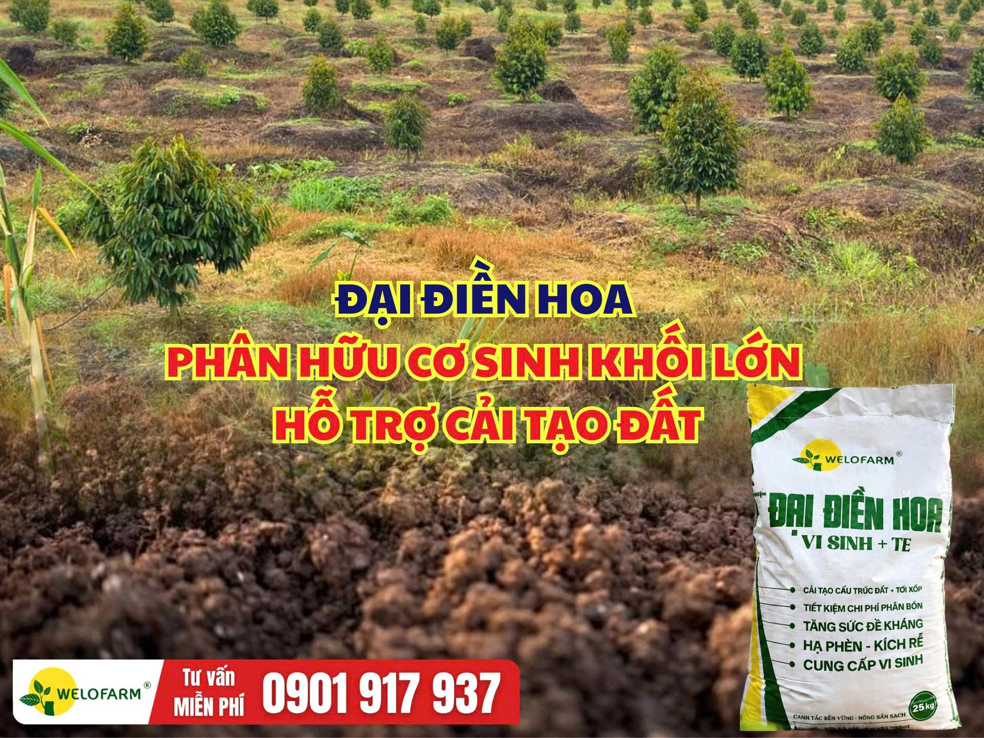 ĐẠI ĐIỀN HOA – Phân Hữu Cơ Sinh Khối Lớn Hỗ Trợ Cải Tạo Đất