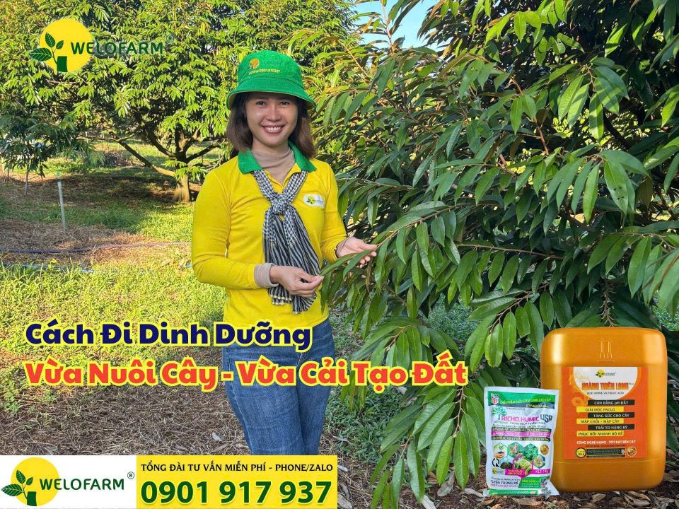 ⚡ Cách Đi Dinh Dưỡng Vừa Nuôi Cây Vừa Cải Tạo Đất