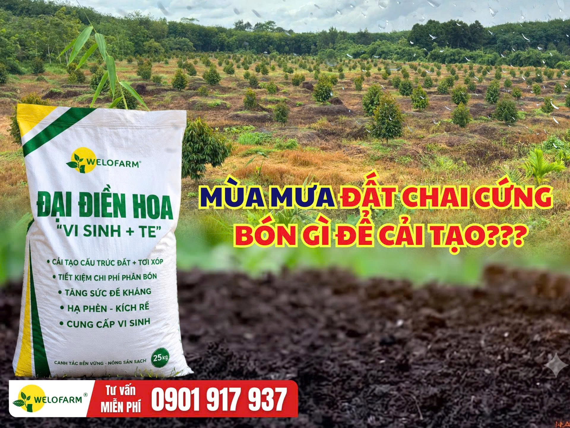 Mùa Mưa Đất Chai Cứng Nên Bón Gì Để Cải Tạo Đất?