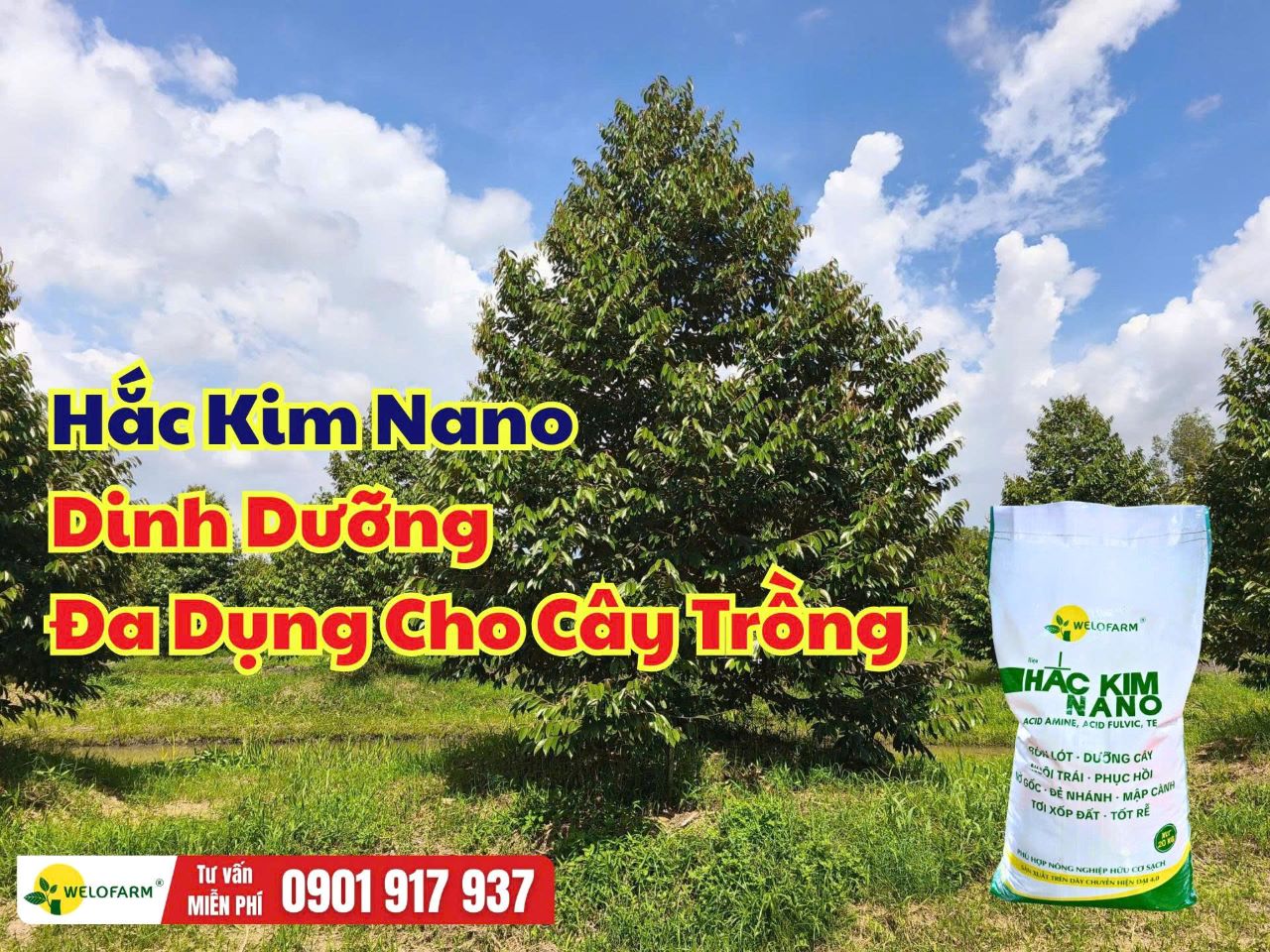 Hắc Kim Nano – Dinh Dưỡng Đa Dụng Cho Cây Trồng, Dùng Được Nhiều Giai Đoạn