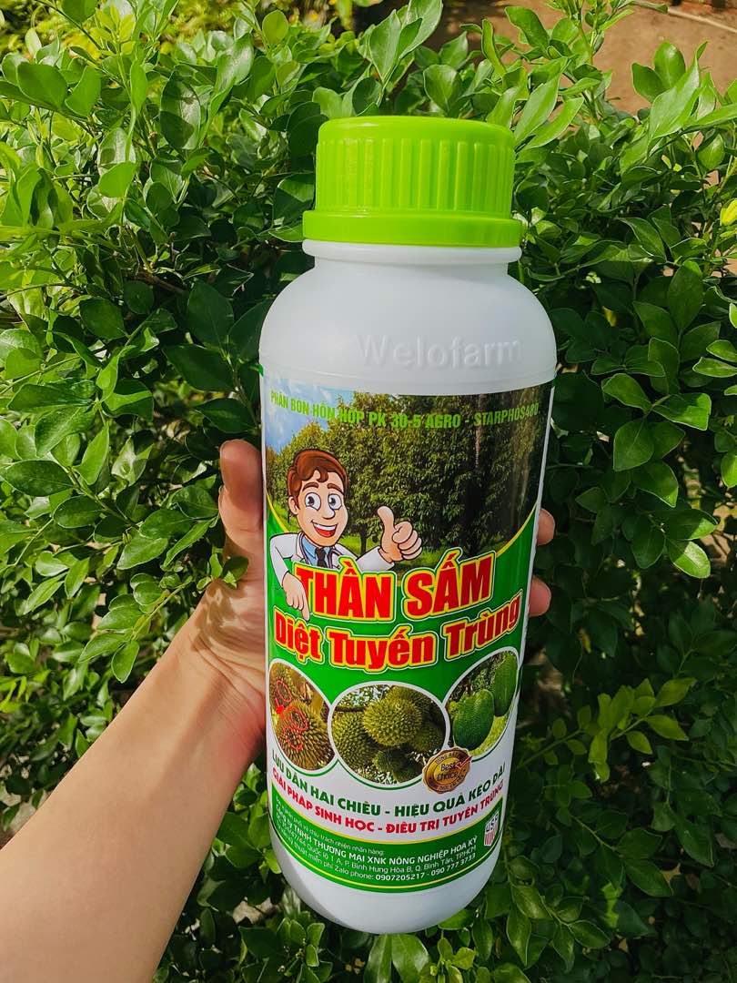 1L - Thần Sấm Diệt Tuyến Trùng