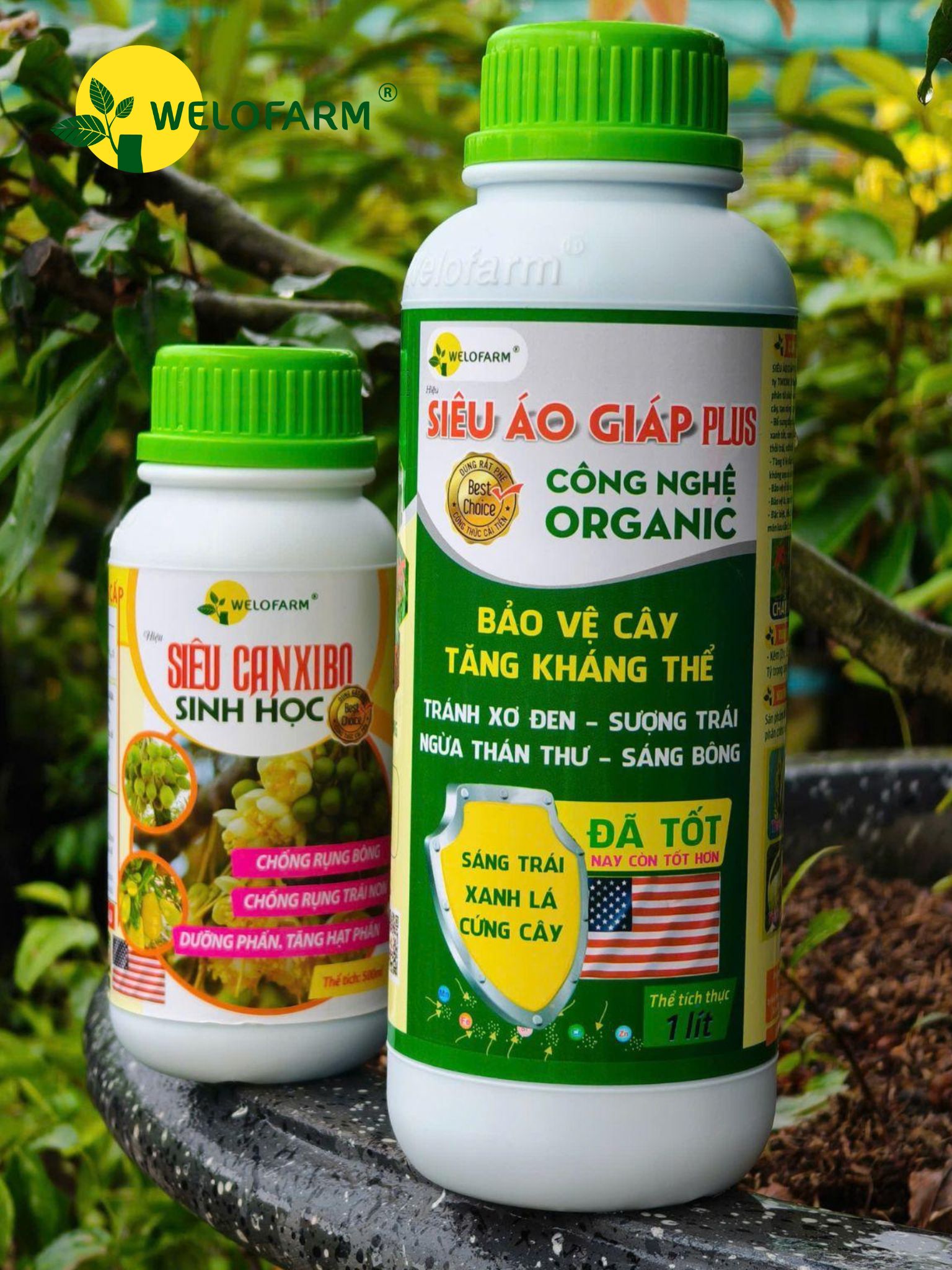 BỘ DƯỠNG + RỬA BÔNG SẦU RIÊNG