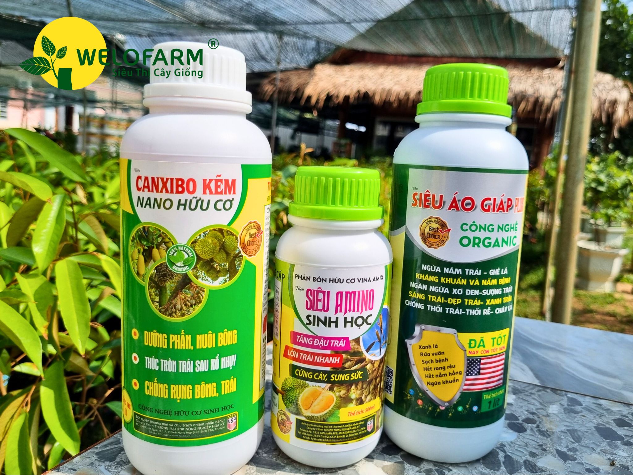 Bộ Siêu Dưỡng Bông Chai 1L