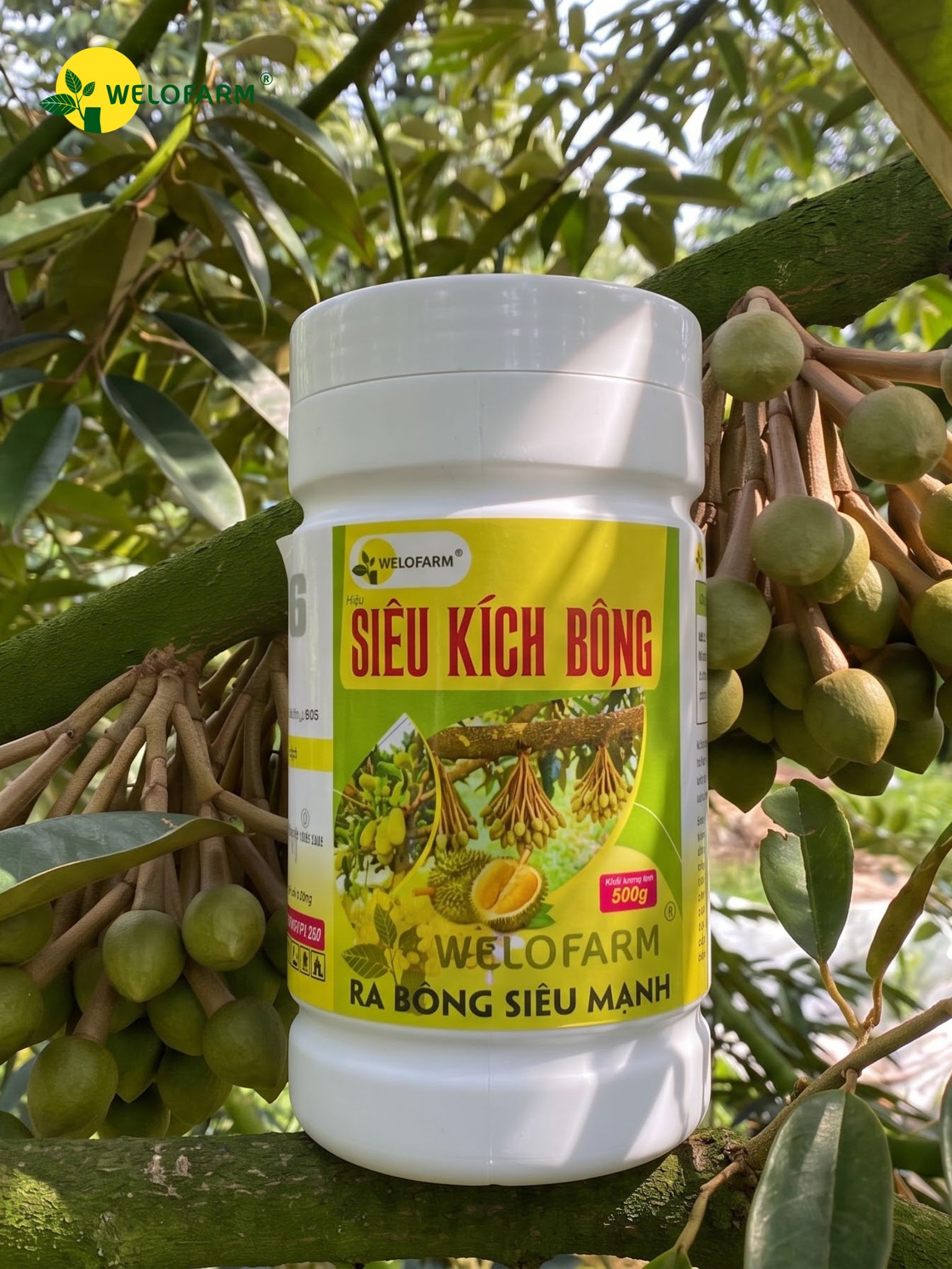 Siêu Kích Bông