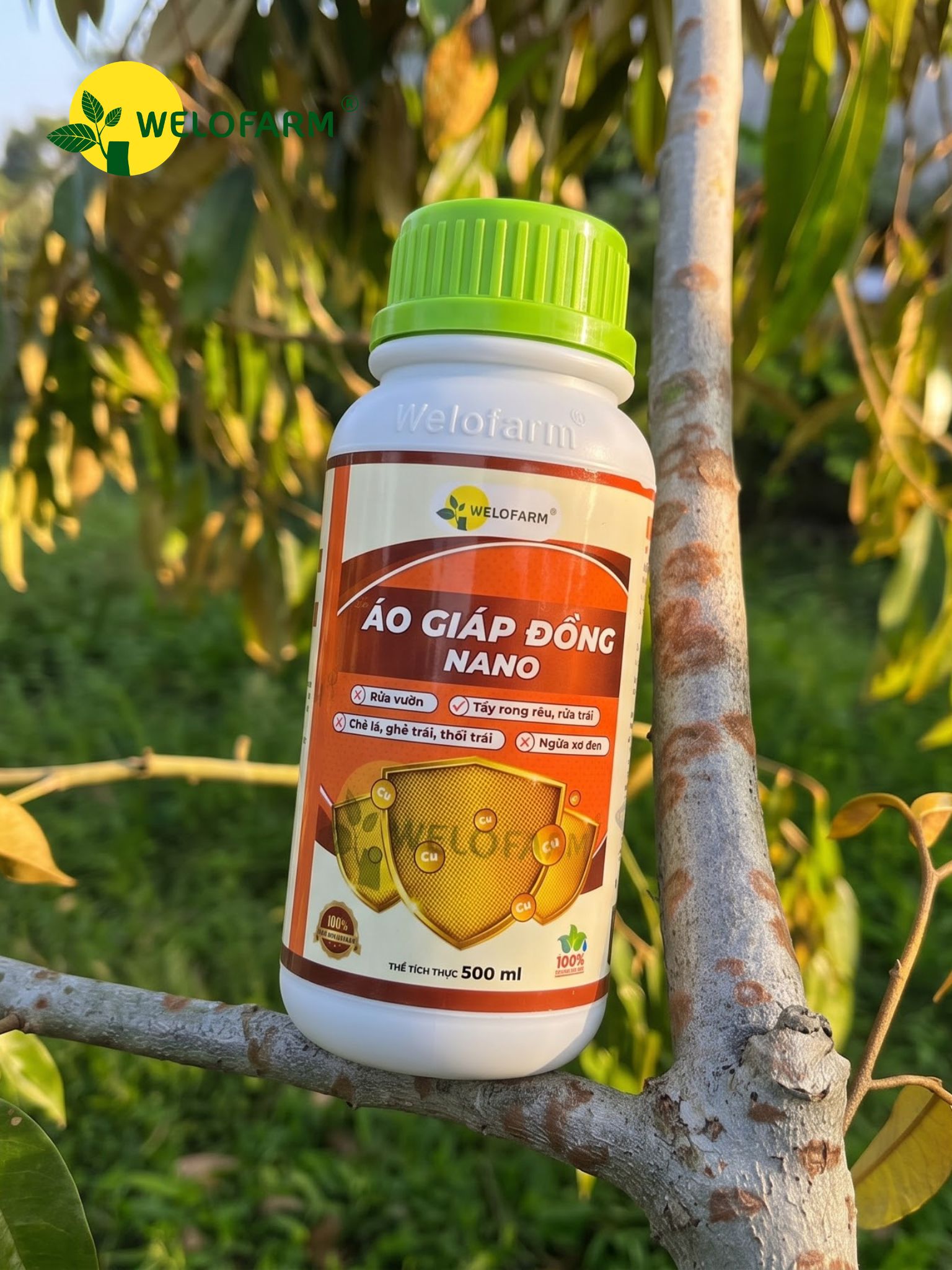 Áo Giáp Đồng Nano