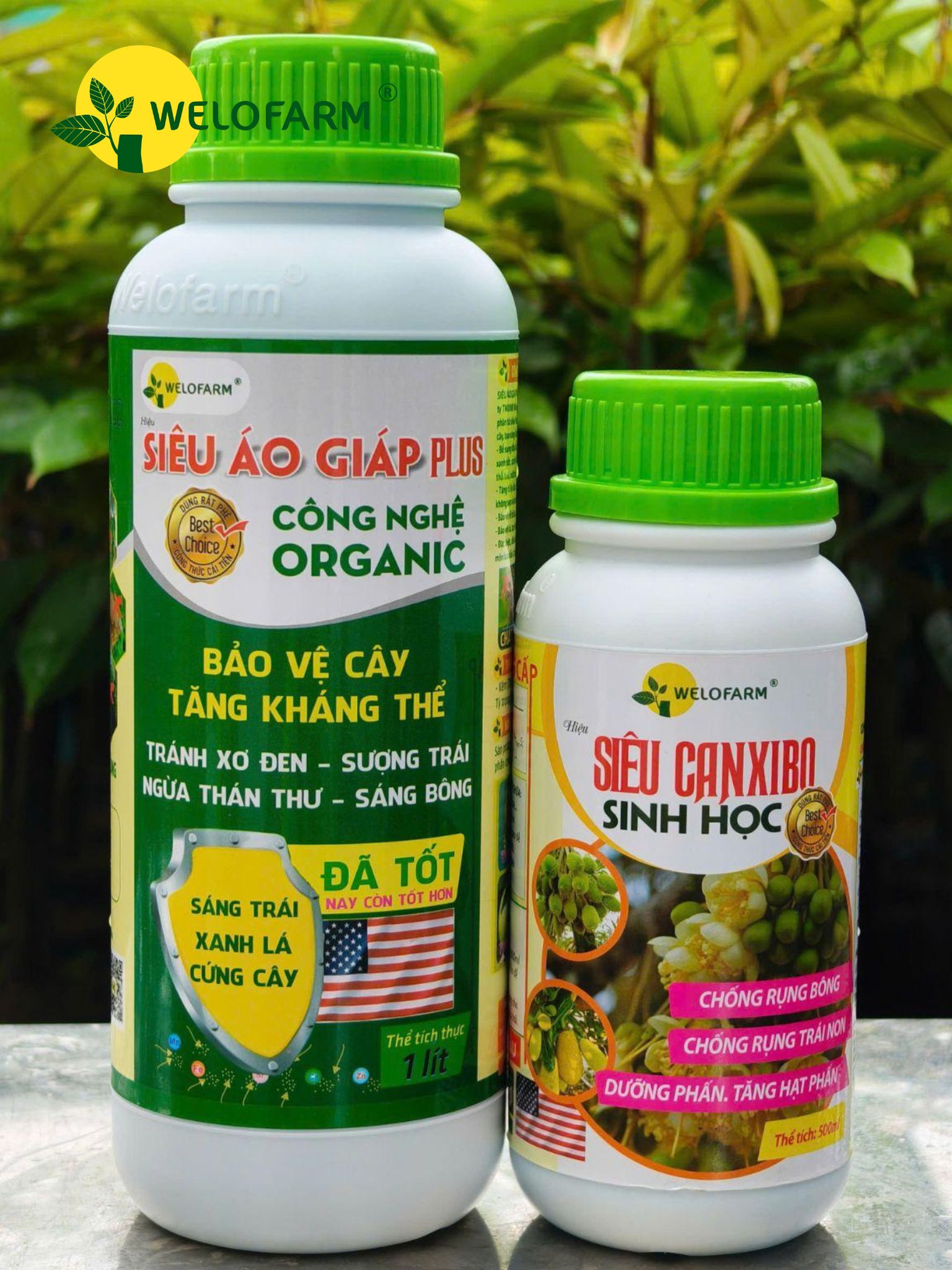 BỘ DƯỠNG + RỬA BÔNG SẦU RIÊNG