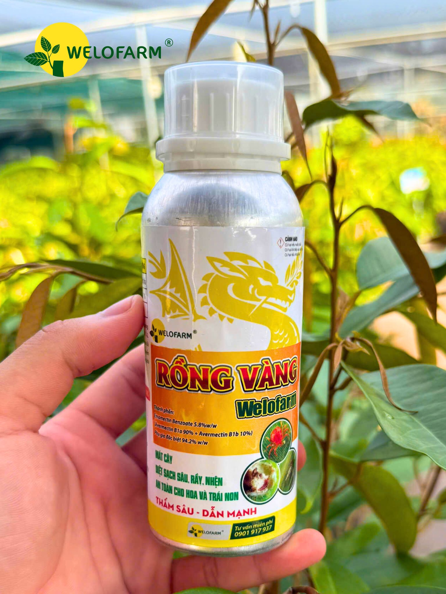 Rồng Vàng Welofarm