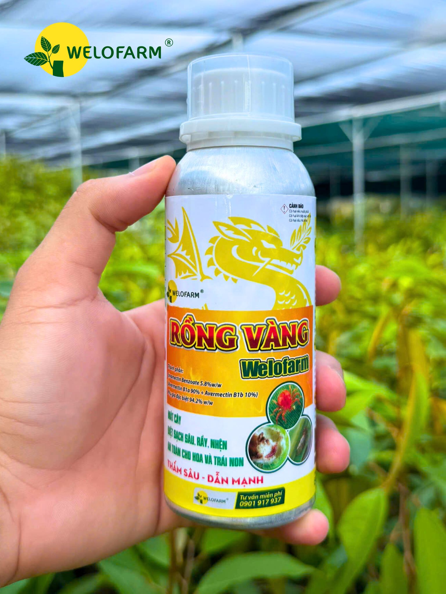 Rồng Vàng Welofarm