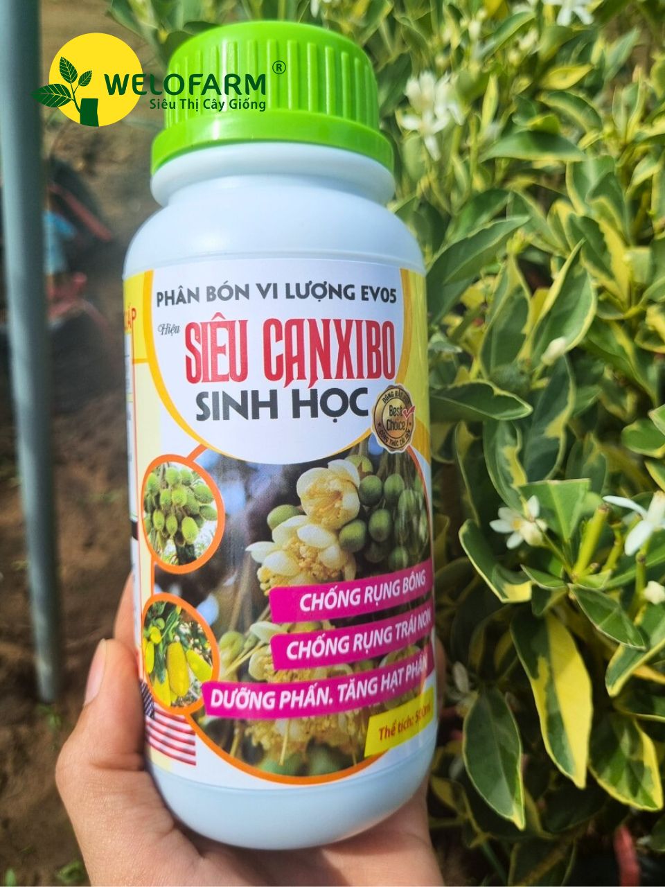 Siêu CanxiBo Sinh Học (Nâng Cấp)