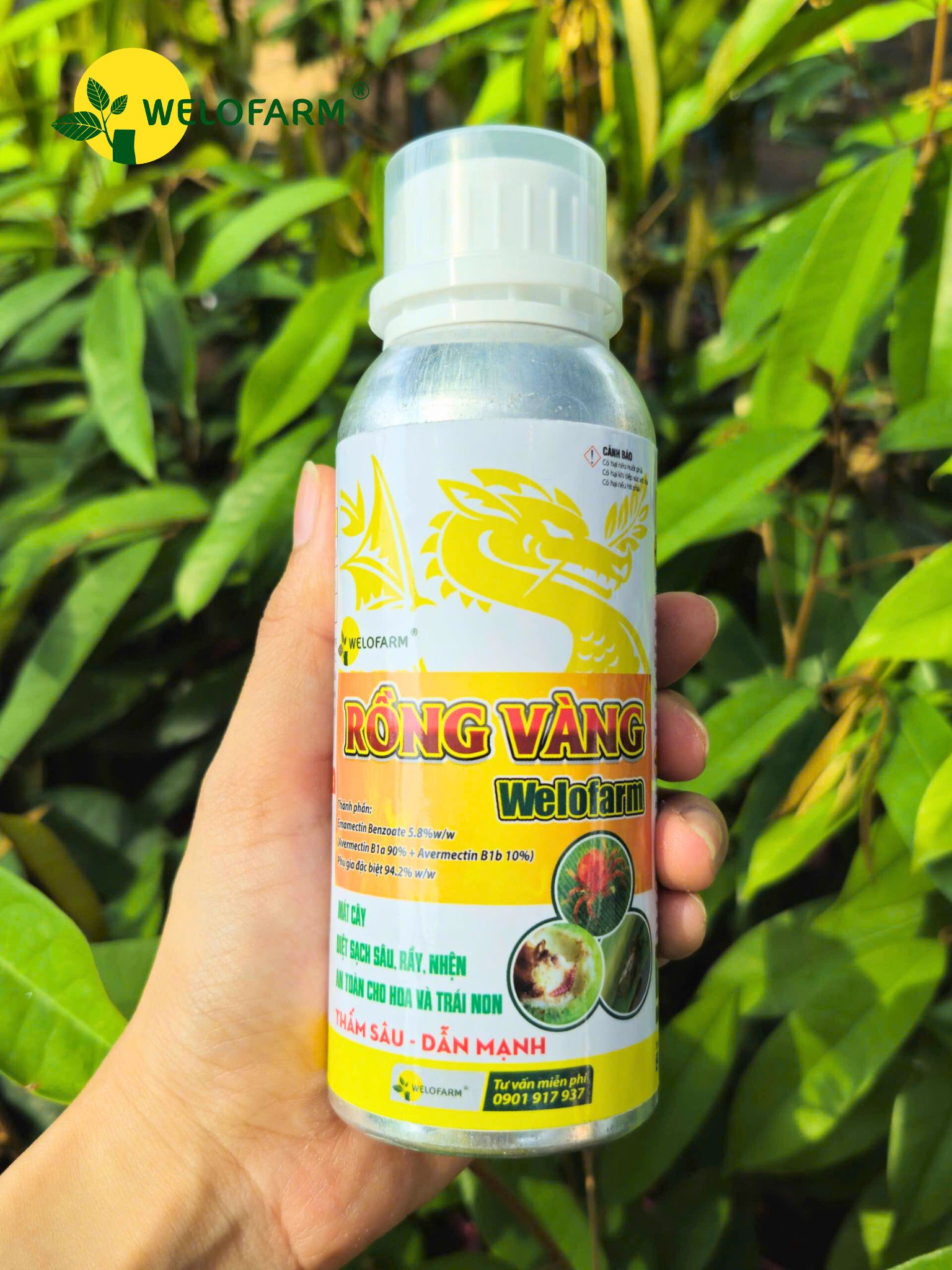 Rồng Vàng Welofarm