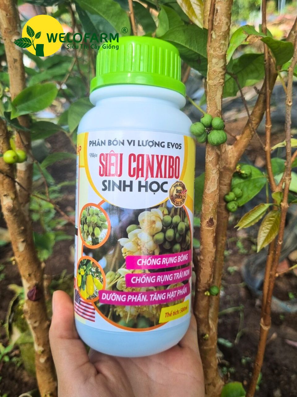 Siêu CanxiBo Sinh Học (Nâng Cấp)