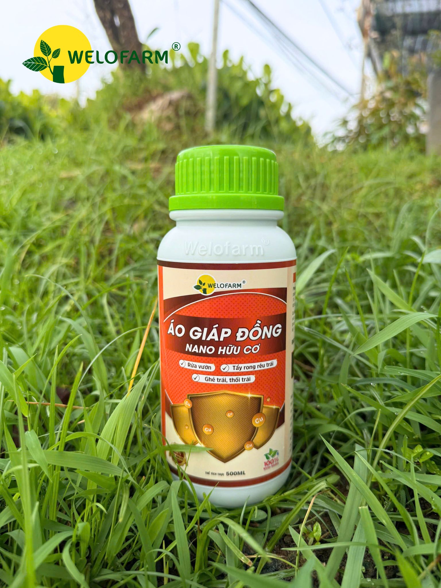 Áo Giáp Đồng Nano Hữu Cơ