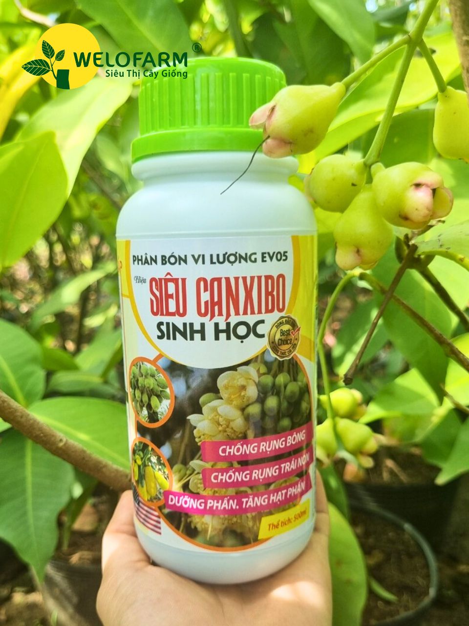 Siêu Canxi - Bo Sinh Học