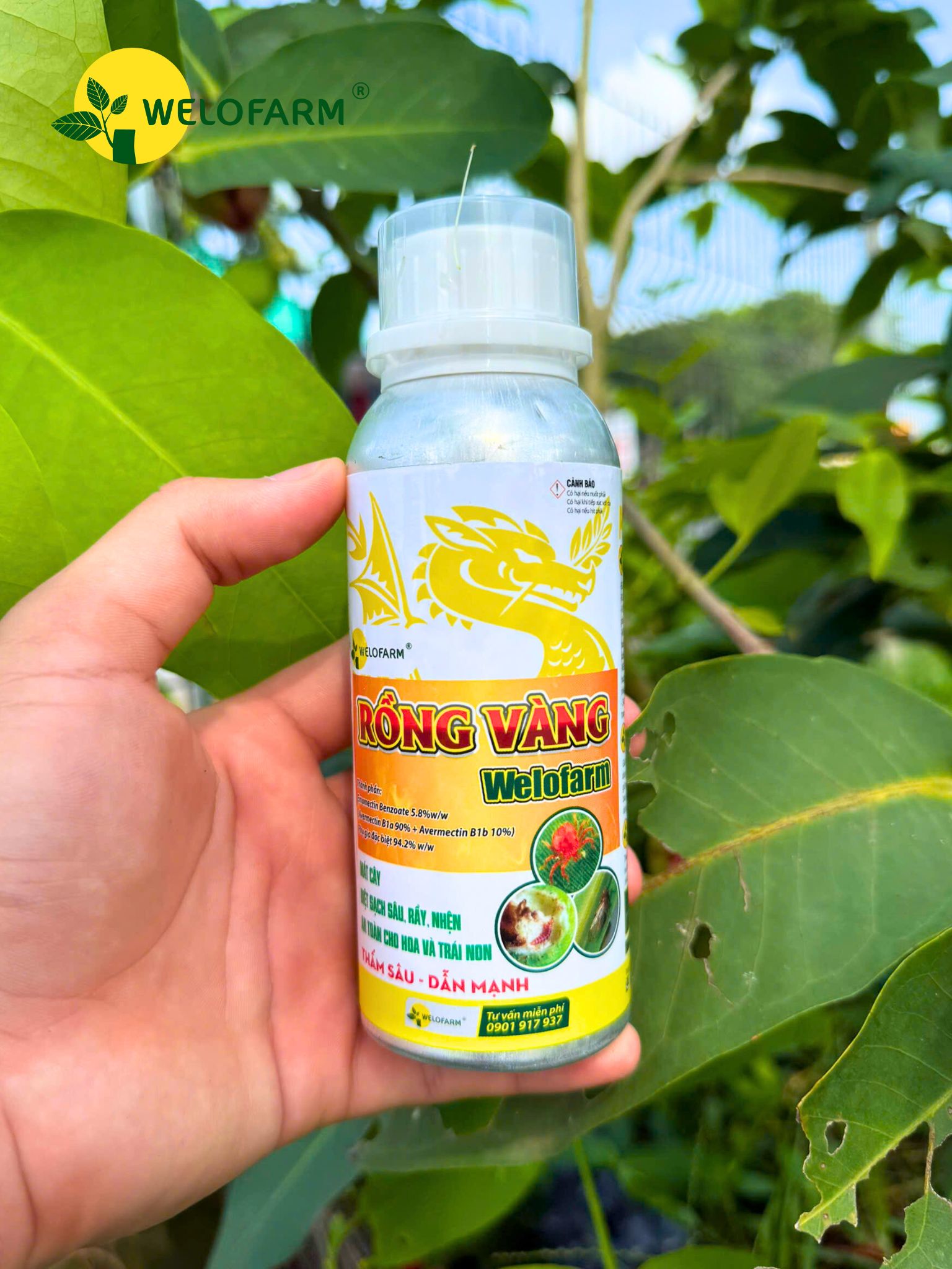 Rồng Vàng Welofarm