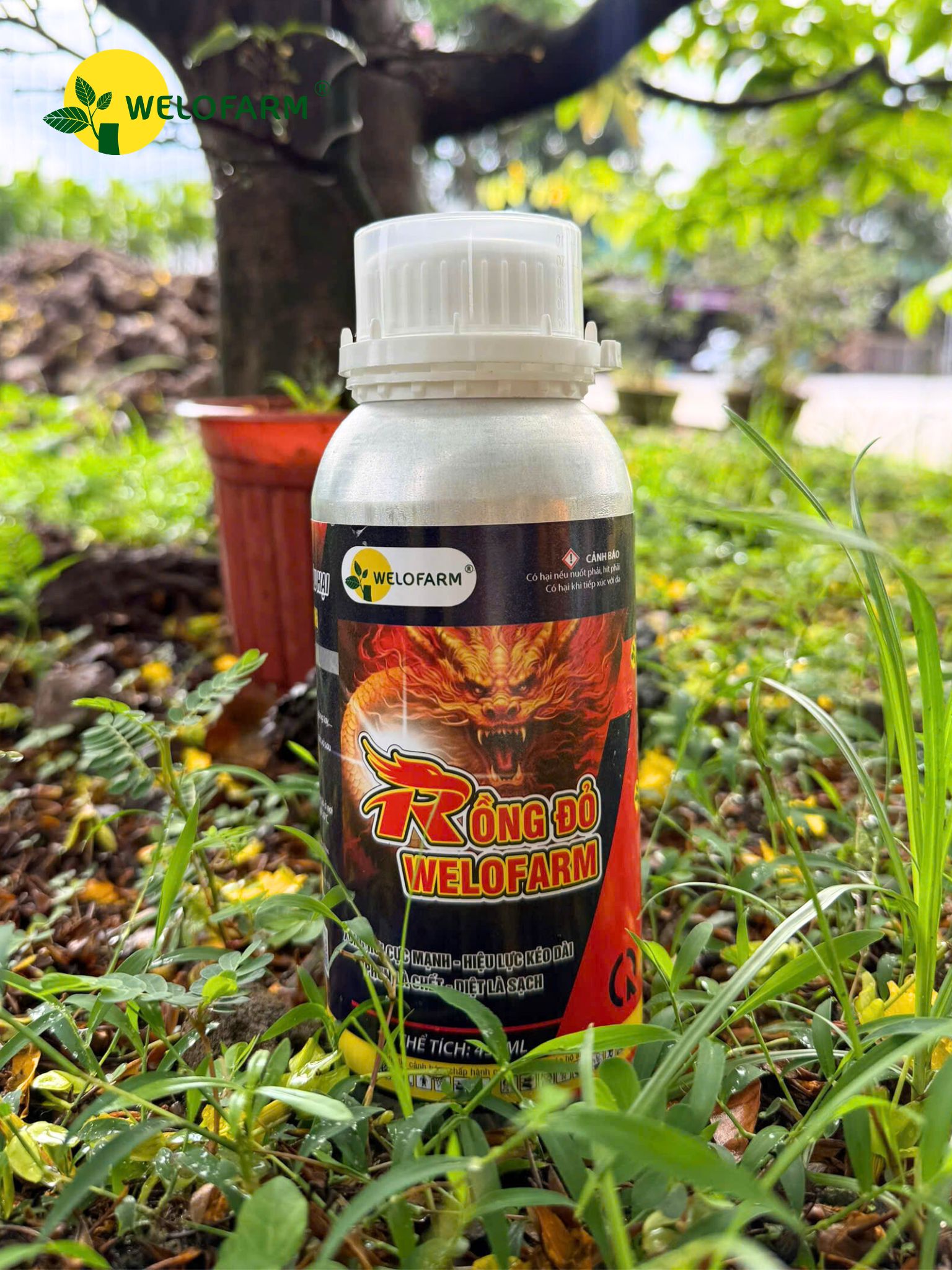 Rồng Đỏ Diệt Sâu Rầy Rệp