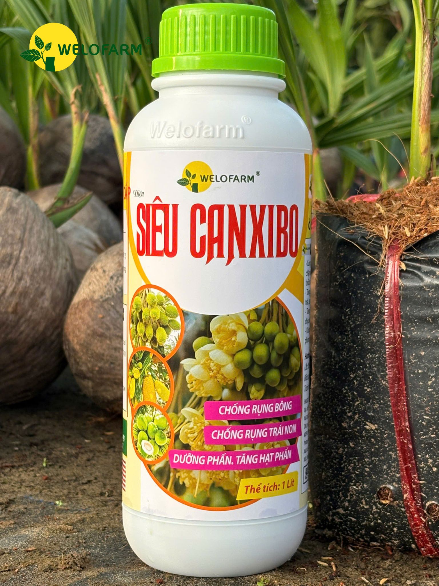 Siêu CanxiBo